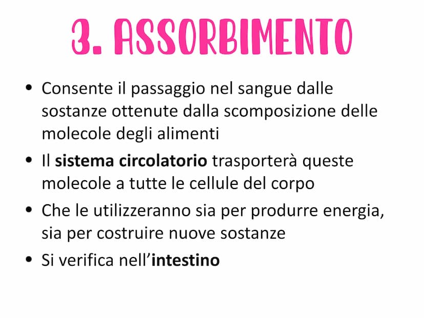 L'APPARATO DIGERENTE
Vie respiratorie
superiori
Fegato
Colecisti
Duodeno
Colon
Appendice
Aorta
addominale
الی
Esofago
Stomaco
Milza
Pancreas