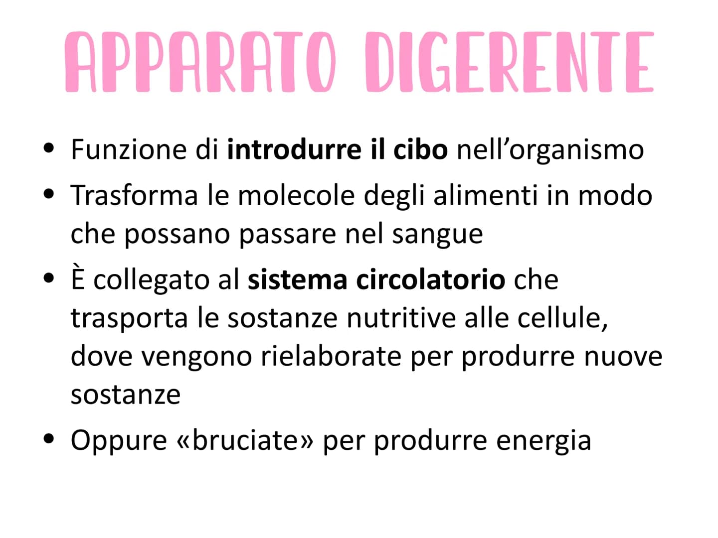 L'APPARATO DIGERENTE
Vie respiratorie
superiori
Fegato
Colecisti
Duodeno
Colon
Appendice
Aorta
addominale
الی
Esofago
Stomaco
Milza
Pancreas