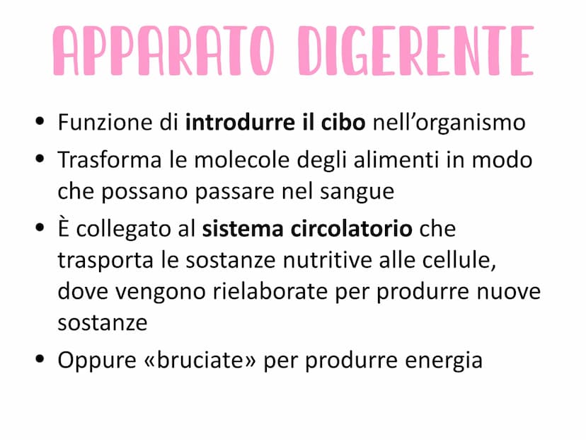L'APPARATO DIGERENTE
Vie respiratorie
superiori
Fegato
Colecisti
Duodeno
Colon
Appendice
Aorta
addominale
الی
Esofago
Stomaco
Milza
Pancreas