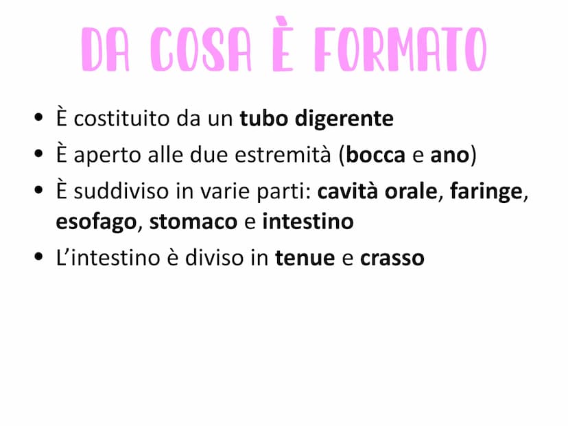 L'APPARATO DIGERENTE
Vie respiratorie
superiori
Fegato
Colecisti
Duodeno
Colon
Appendice
Aorta
addominale
الی
Esofago
Stomaco
Milza
Pancreas