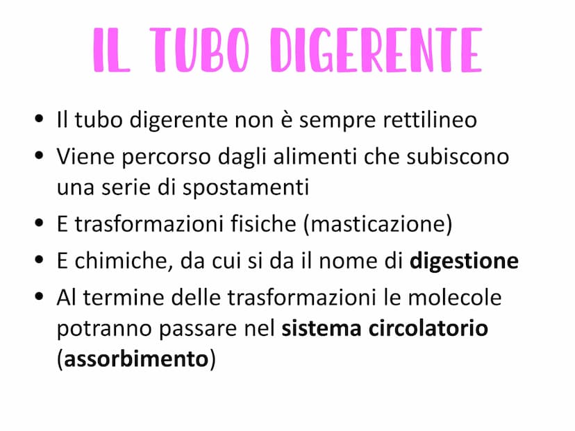 L'APPARATO DIGERENTE
Vie respiratorie
superiori
Fegato
Colecisti
Duodeno
Colon
Appendice
Aorta
addominale
الی
Esofago
Stomaco
Milza
Pancreas