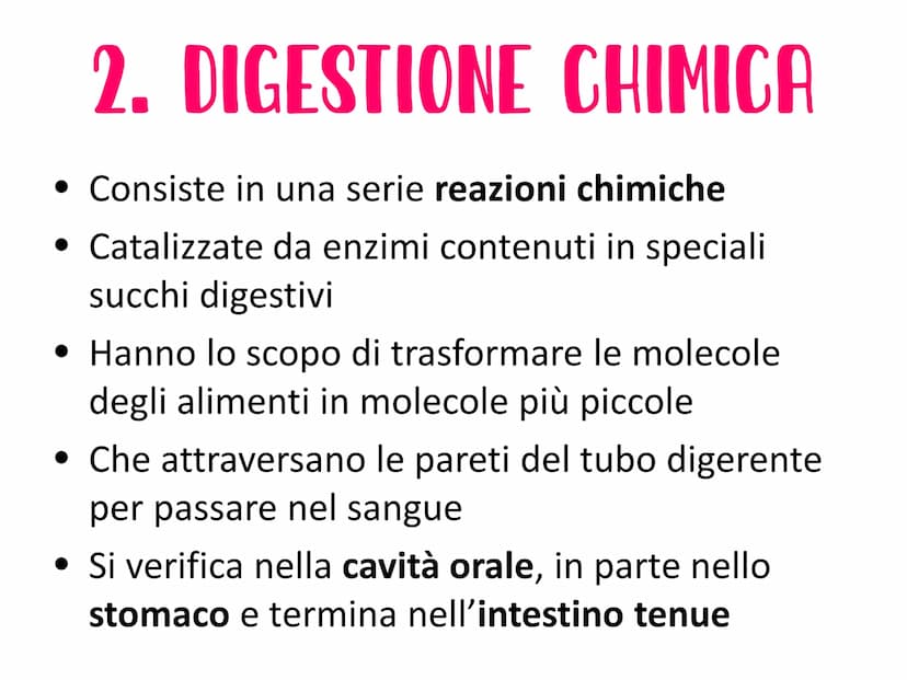 L'APPARATO DIGERENTE
Vie respiratorie
superiori
Fegato
Colecisti
Duodeno
Colon
Appendice
Aorta
addominale
الی
Esofago
Stomaco
Milza
Pancreas