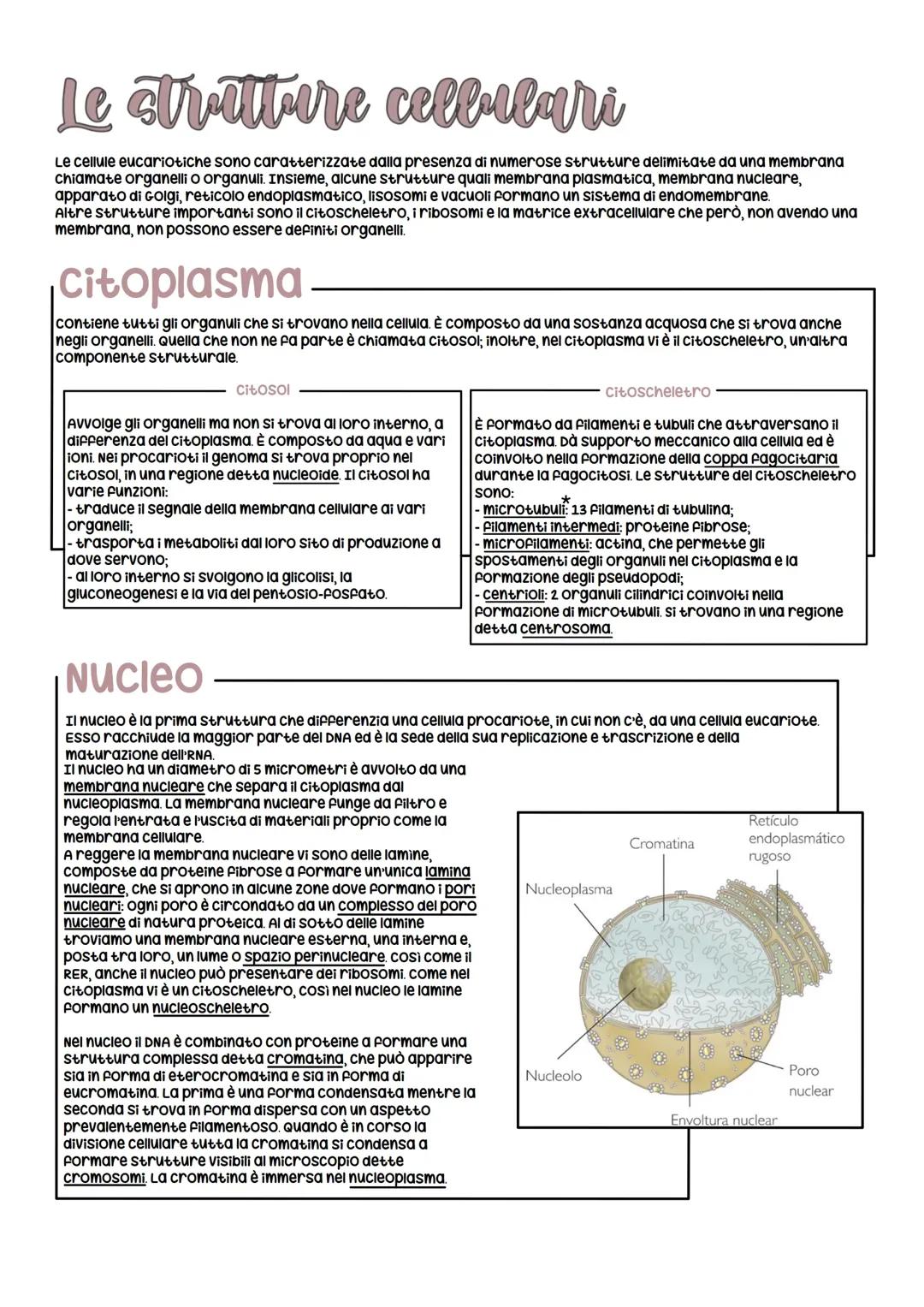 Le strutture cellulari