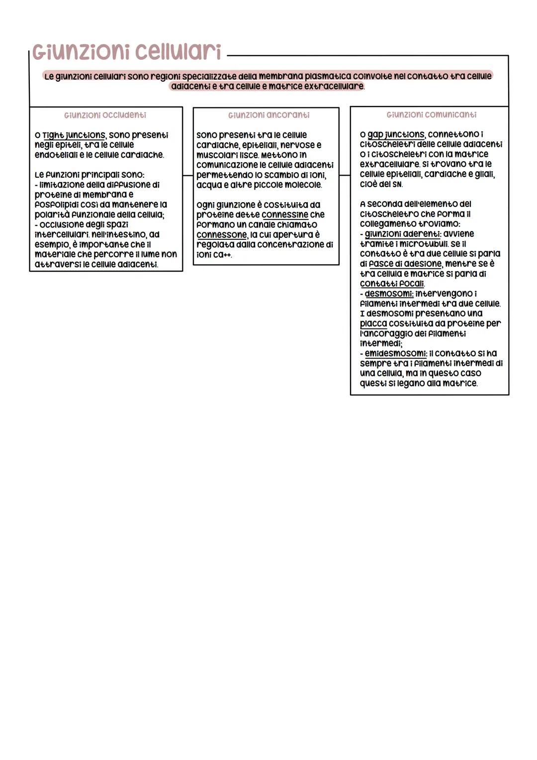 Le strutture cellulari
Le cellule eucariotiche sono caratterizzate dalla presenza di numerose strutture delimitate da una membrana
chiamate 