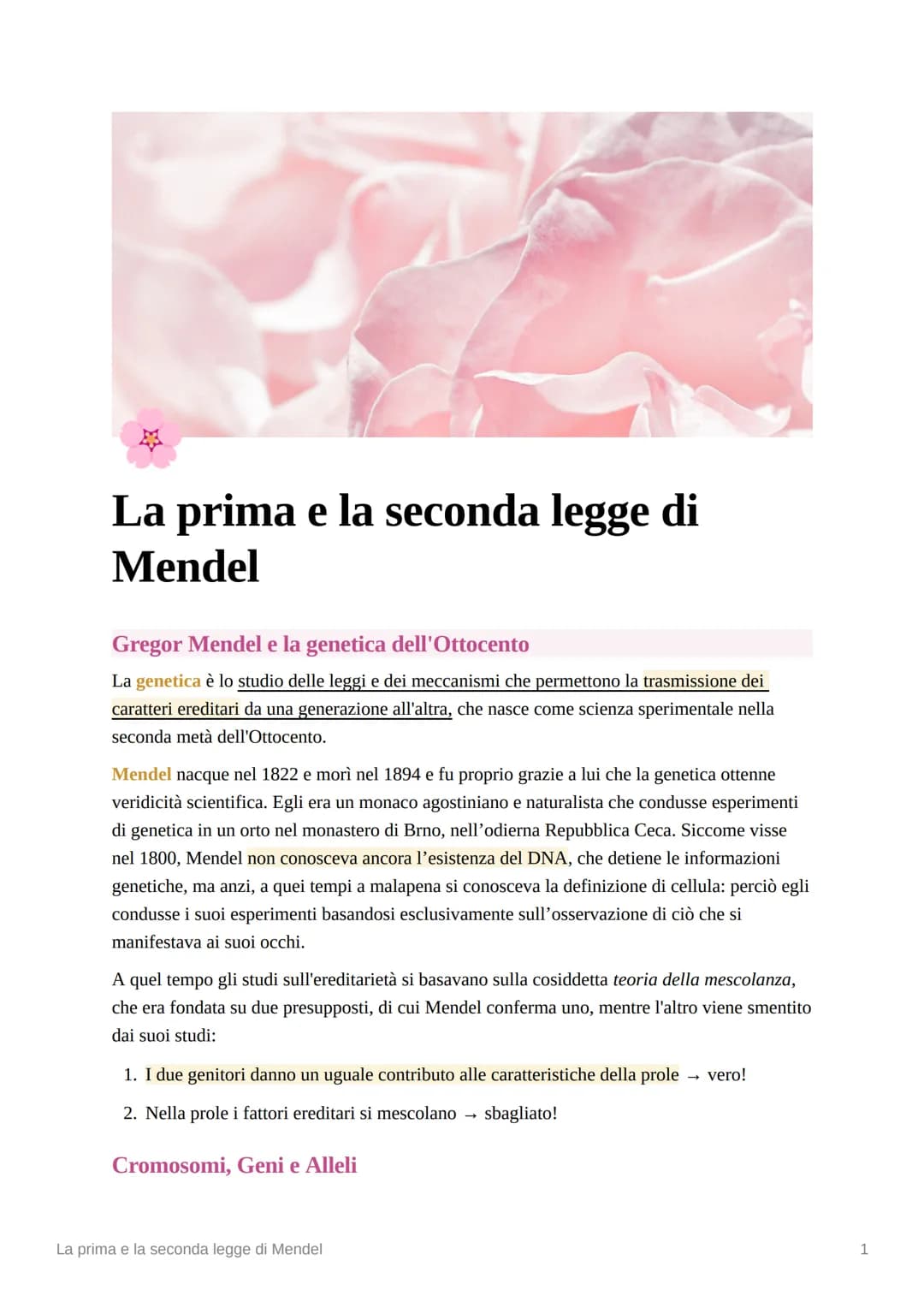 La terza legge di Mendel
La terza legge di Mendel: l'assortimento indipendente
Mendel a questo punto considerò un incrocio fra due linee pur