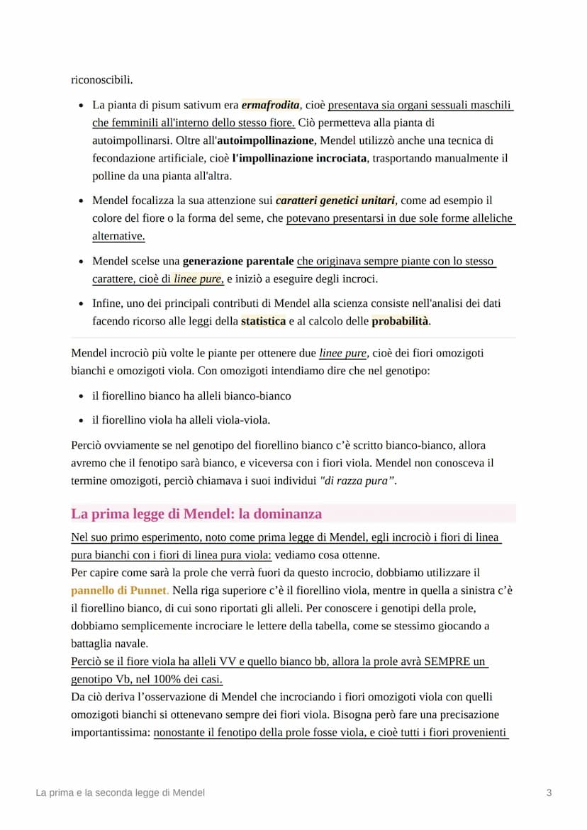 La terza legge di Mendel
La terza legge di Mendel: l'assortimento indipendente
Mendel a questo punto considerò un incrocio fra due linee pur