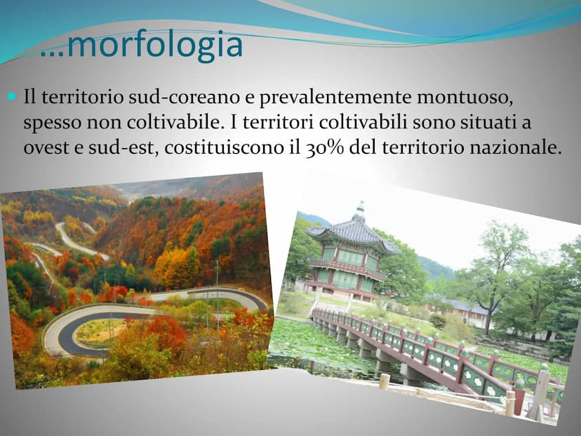 ||
44ever.cm
HIR
COREA DEL SUD CONFINI
La Corea del Sud, ufficialmente conosciuta come la
Repubblica di Corea, e uno stato dell'Asia Orienta