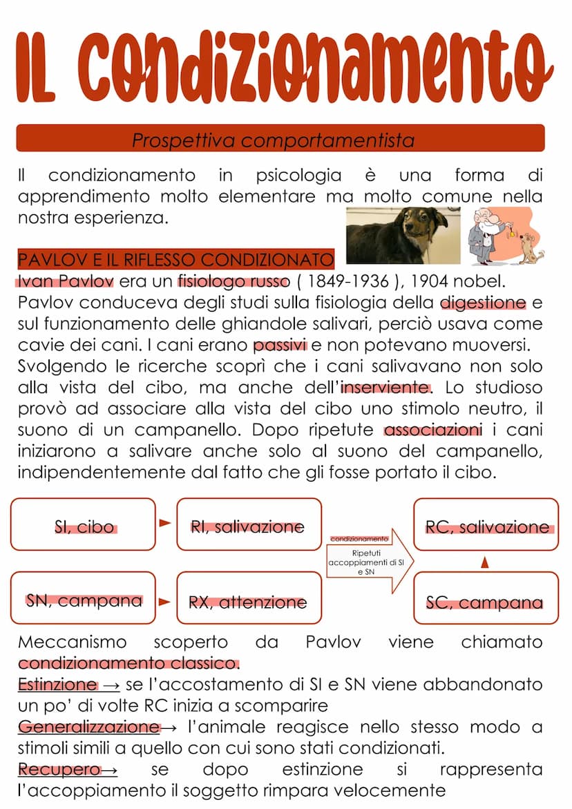 L'apprendimento
L'apprendimento è il processo con cui un organismo vivente è
modificato più o meno definitivamente da ciò che fa e da
quello