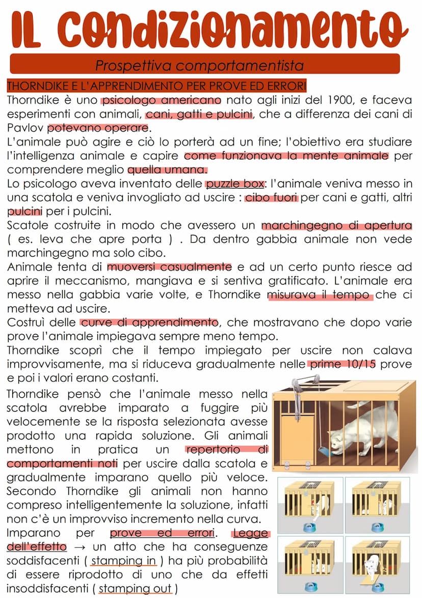 L'apprendimento
L'apprendimento è il processo con cui un organismo vivente è
modificato più o meno definitivamente da ciò che fa e da
quello