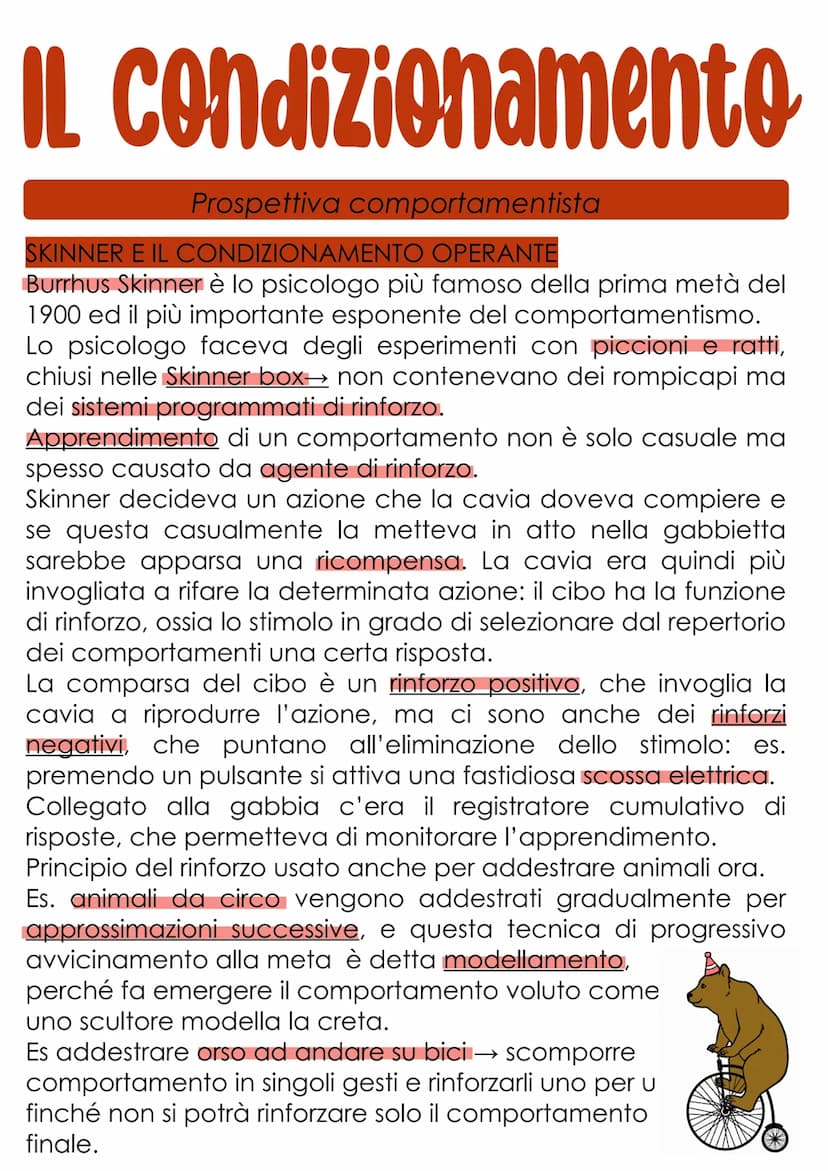 L'apprendimento
L'apprendimento è il processo con cui un organismo vivente è
modificato più o meno definitivamente da ciò che fa e da
quello