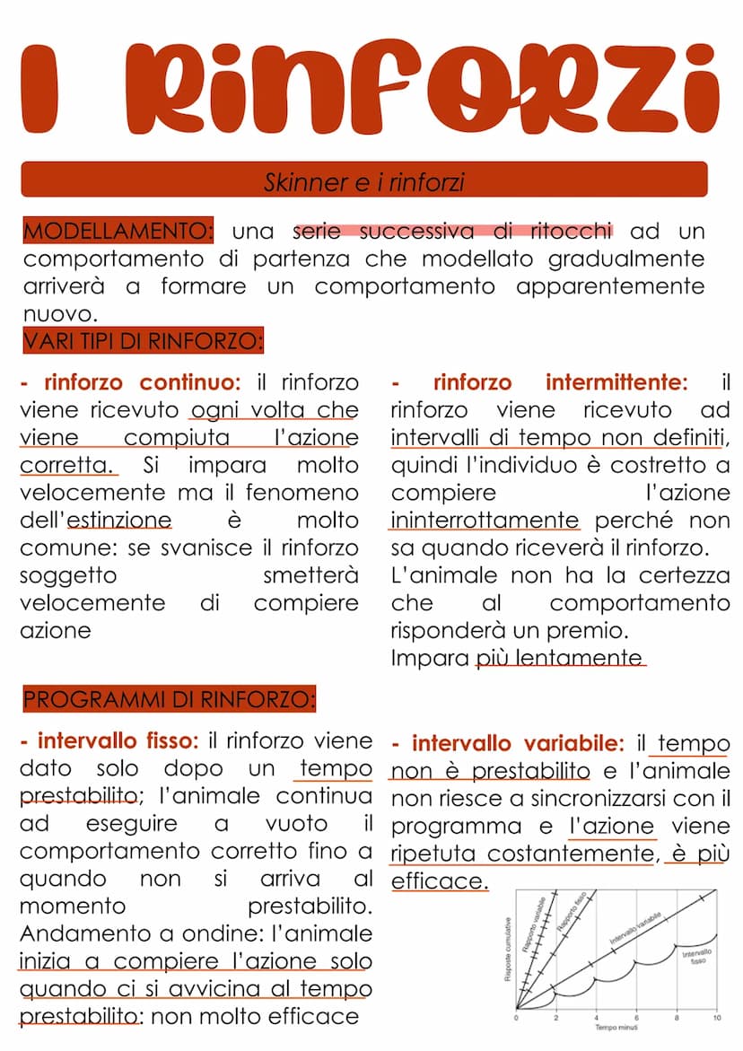 L'apprendimento
L'apprendimento è il processo con cui un organismo vivente è
modificato più o meno definitivamente da ciò che fa e da
quello