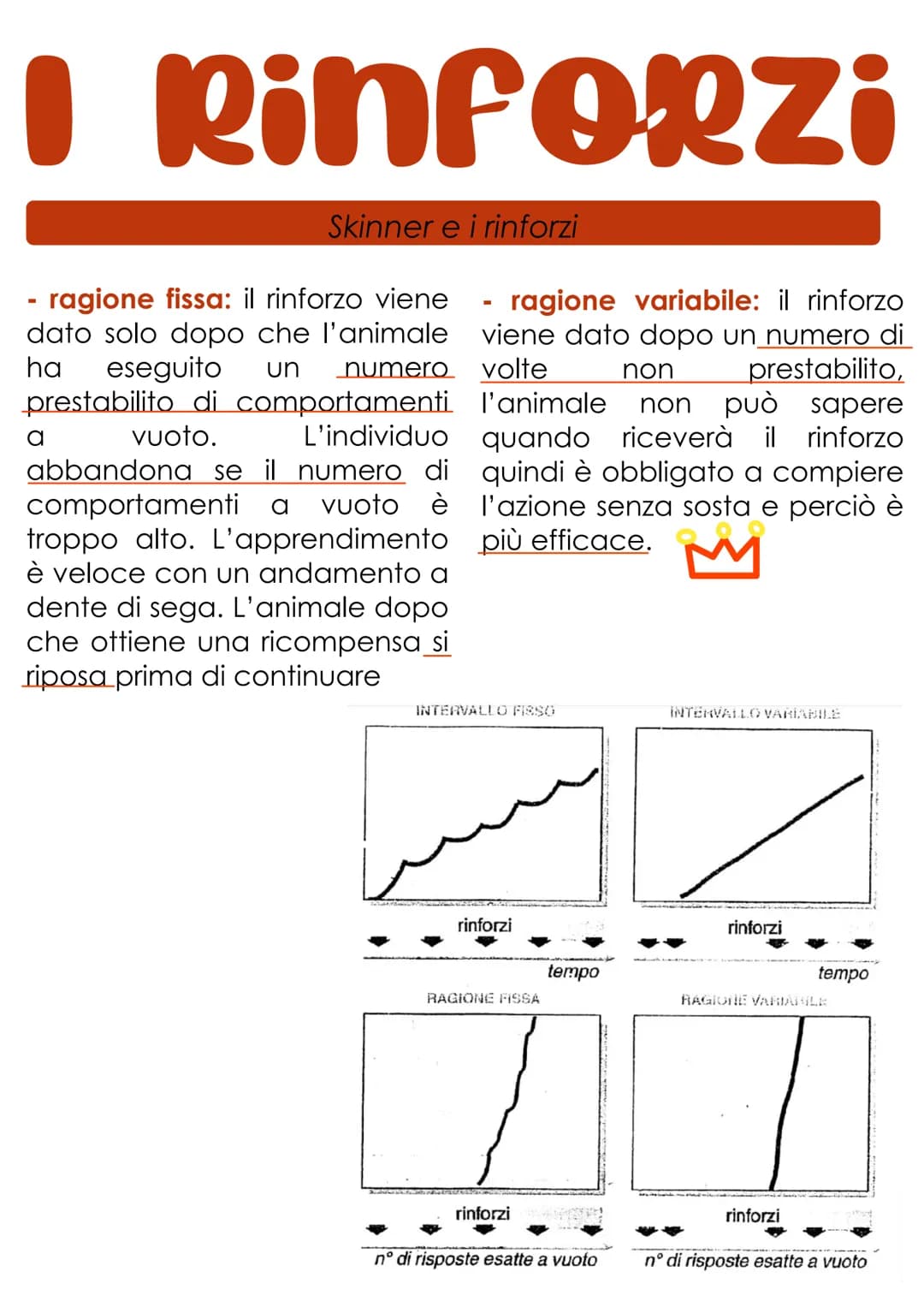 L'apprendimento
L'apprendimento è il processo con cui un organismo vivente è
modificato più o meno definitivamente da ciò che fa e da
quello