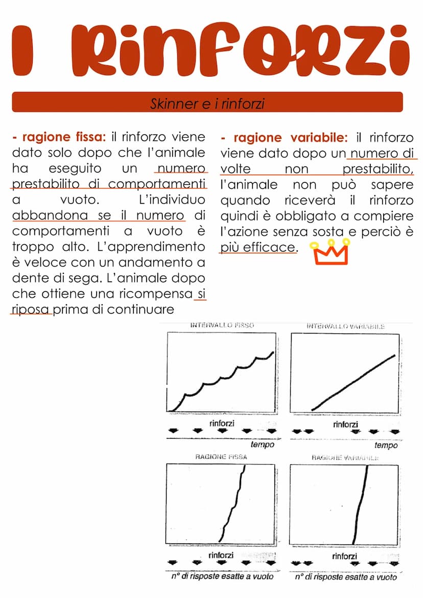 L'apprendimento
L'apprendimento è il processo con cui un organismo vivente è
modificato più o meno definitivamente da ciò che fa e da
quello