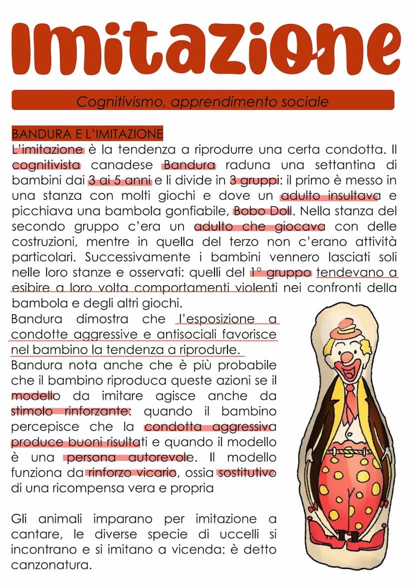 L'apprendimento
L'apprendimento è il processo con cui un organismo vivente è
modificato più o meno definitivamente da ciò che fa e da
quello