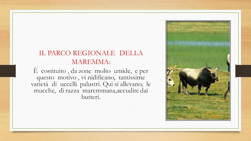LA TOSCANA
Autore: Cimmino Alessio. I CONFINI:
La Toscana, è una regione dell'Italia centrale,
confina: a nord-ovest, con la Liguria, a nord