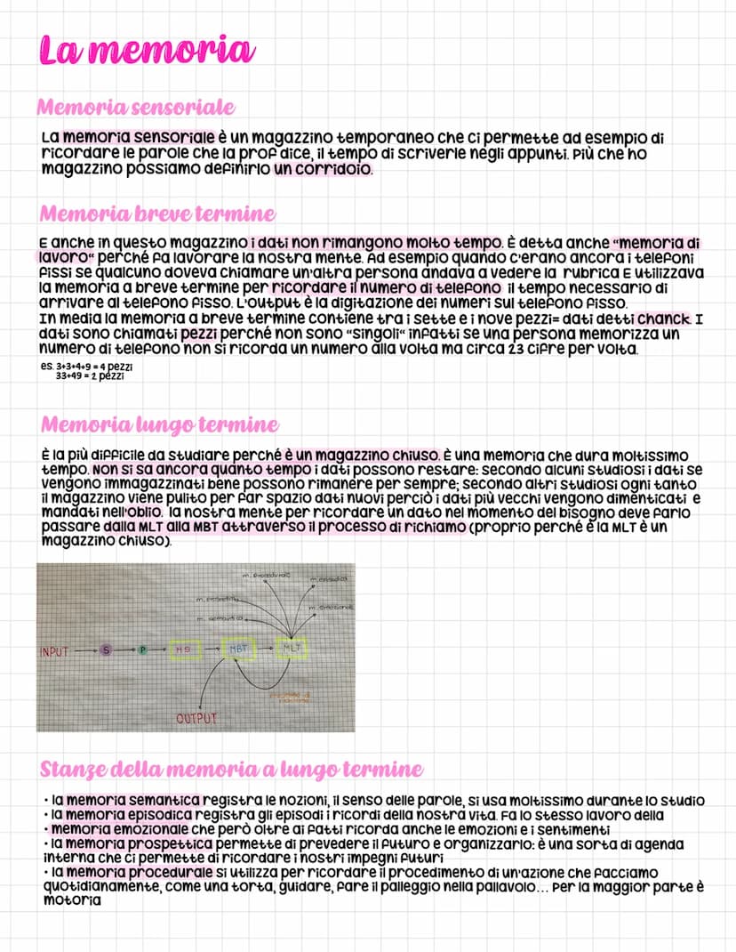 La complessità delle scienze umane:
I vari ambiti
Psicologia, sociologia, antropologia, pedagogia, metodologia
• psicologia
• Sociologia
• a