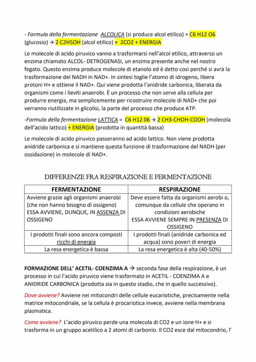 LA RESPIRAZIONE CELLULARE
E' il processo mediante il quale una cellula, in presenza di ossigeno, trasforma
composti organici (prevalentement