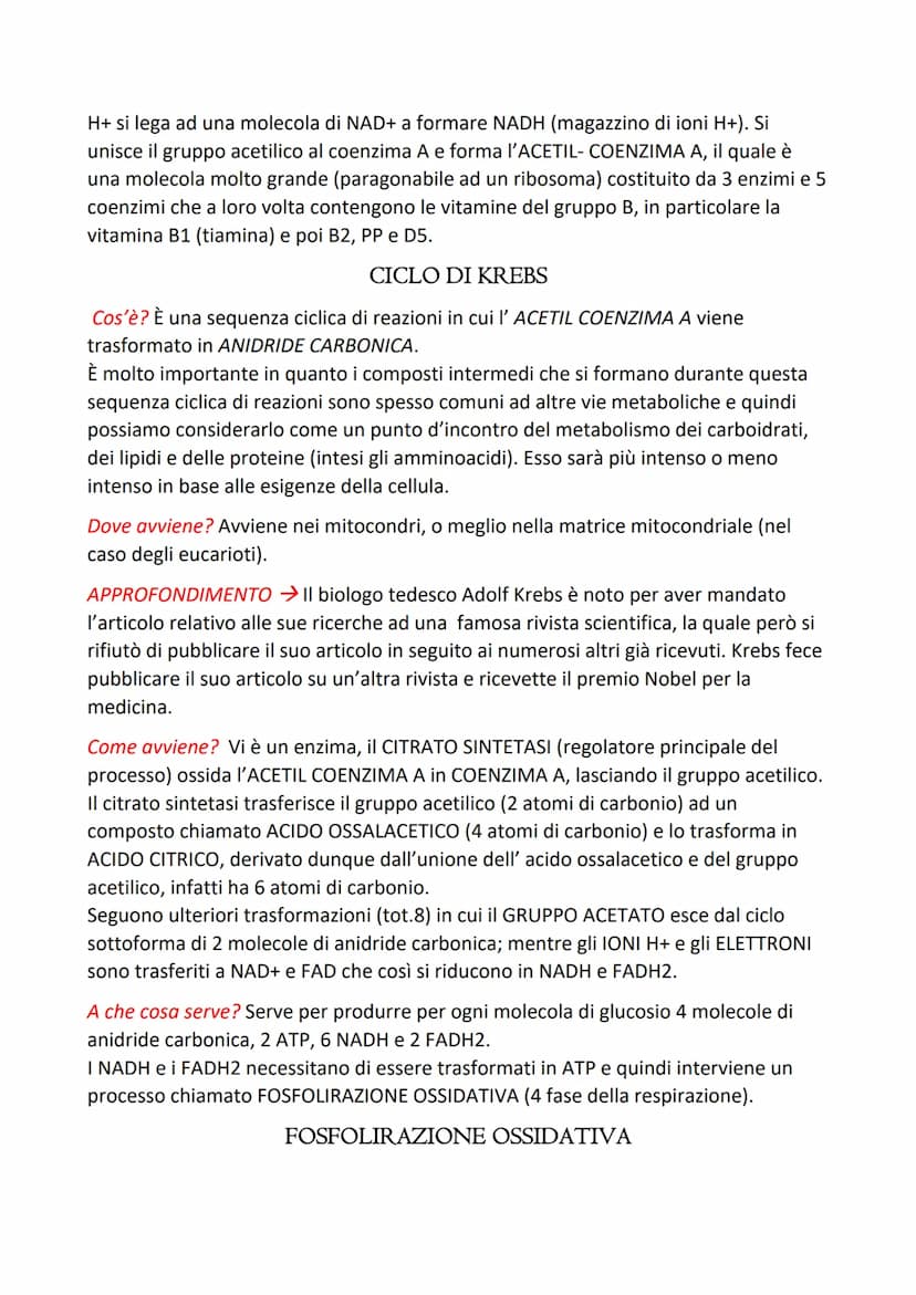 LA RESPIRAZIONE CELLULARE
E' il processo mediante il quale una cellula, in presenza di ossigeno, trasforma
composti organici (prevalentement