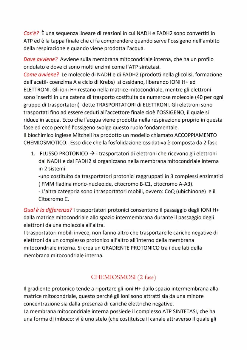 LA RESPIRAZIONE CELLULARE
E' il processo mediante il quale una cellula, in presenza di ossigeno, trasforma
composti organici (prevalentement