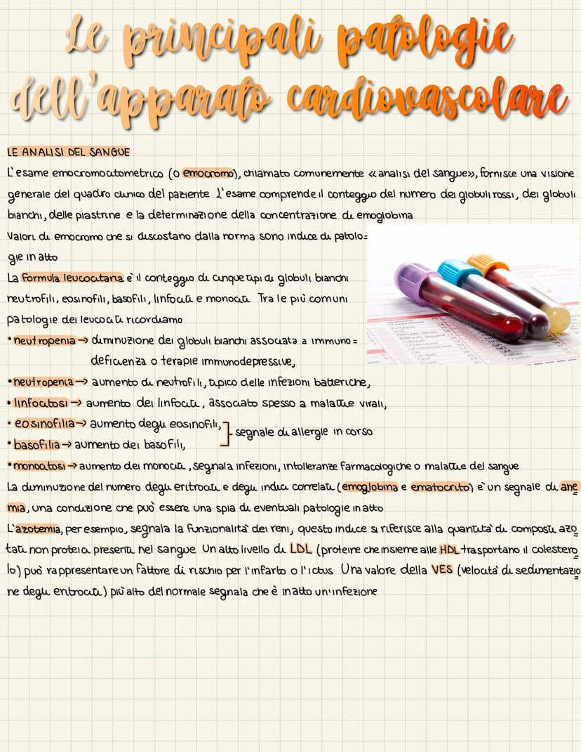 L'apparats cardiovascolare
UN SISTEMA CHIUSO A DOPPIA CIRCOLAZIONE
L'apparato cardiovascolare trasporta nel sangue i materiali da e verso tu