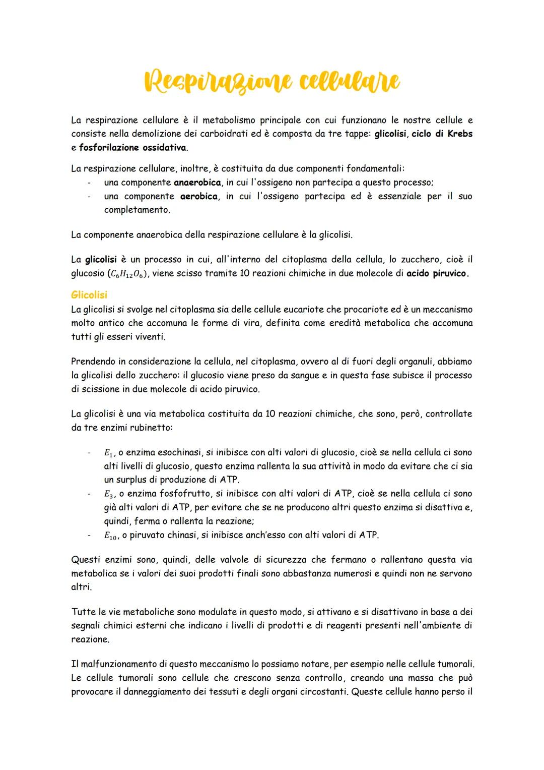# Respirazione cellulare

La respirazione cellulare è il metabolismo principale con cui funzionano le nostre cellule e
consiste nella demoli
