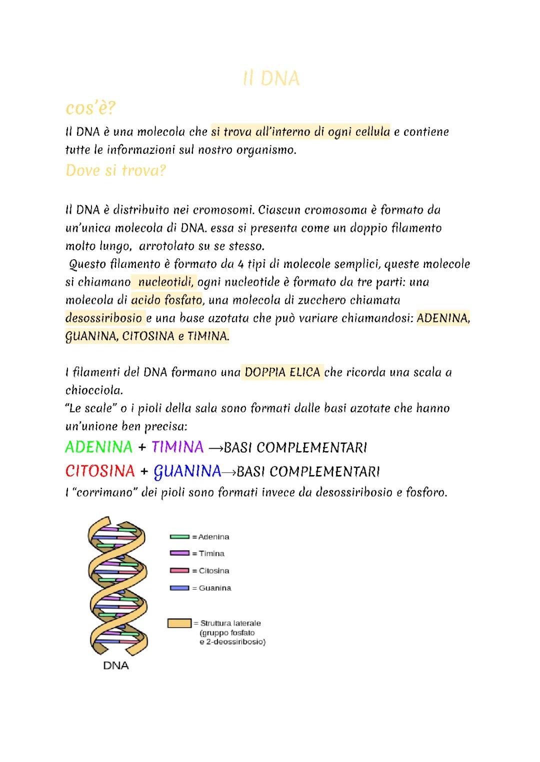 Cos'è il DNA: Spiegato ai Bambini con Parole Semplici