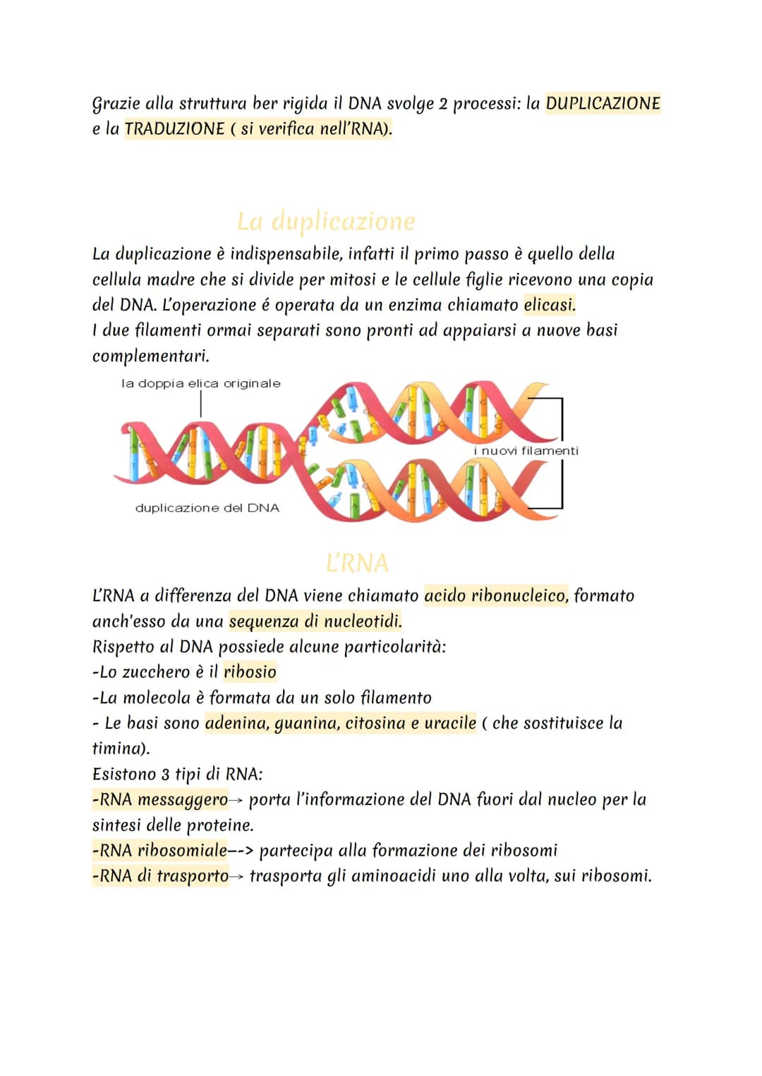 cos'è?
Il DNA è una molecola che si trova all'interno di ogni cellula e contiene
tutte le informazioni sul nostro organismo.
Dove si trova?
