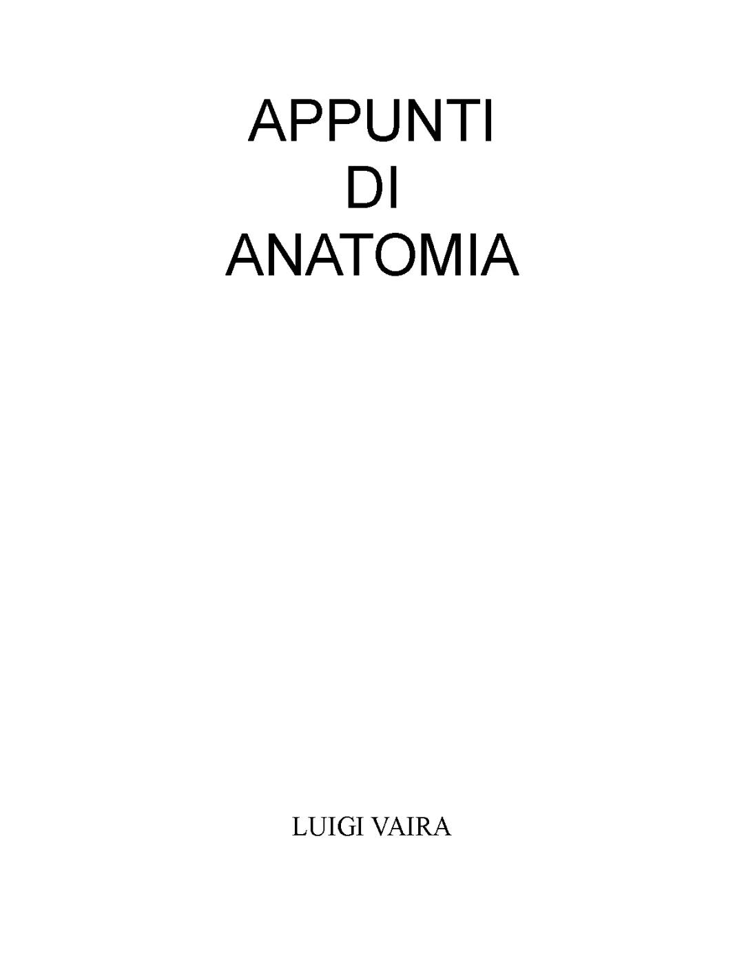 anatomia 