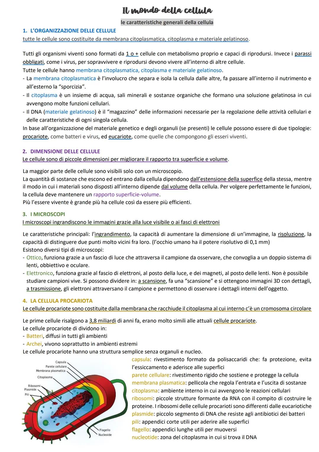 1. L'ORGANIZZAZIONE DELLE CELLULE
tutte le cellule sono costituite da membrana citoplasmatica, citoplasma e materiale gelatinoso.
Tutti gli 