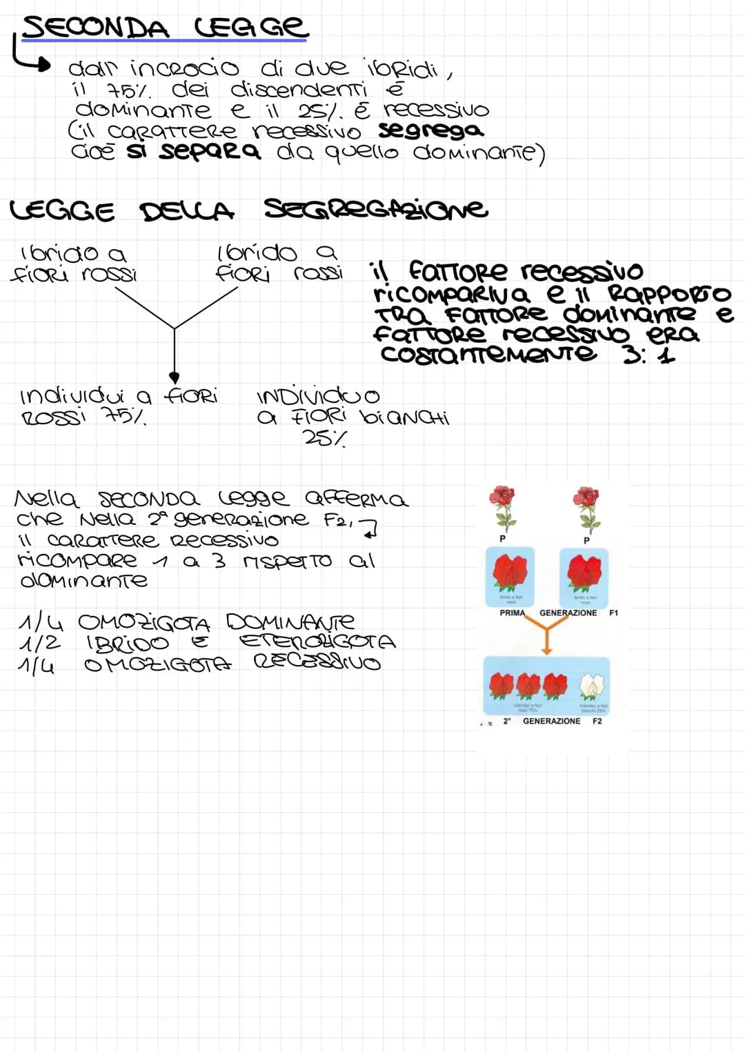 LA
са семетса
Genetica Scienza che studia la trasmissione dei
caratteri da una generazione alla
sucessiva
CARATTERE
TRATTO e la forma partic