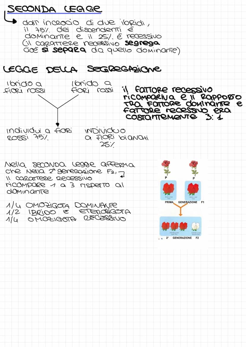 LA
са семетса
Genetica Scienza che studia la trasmissione dei
caratteri da una generazione alla
sucessiva
CARATTERE
TRATTO e la forma partic