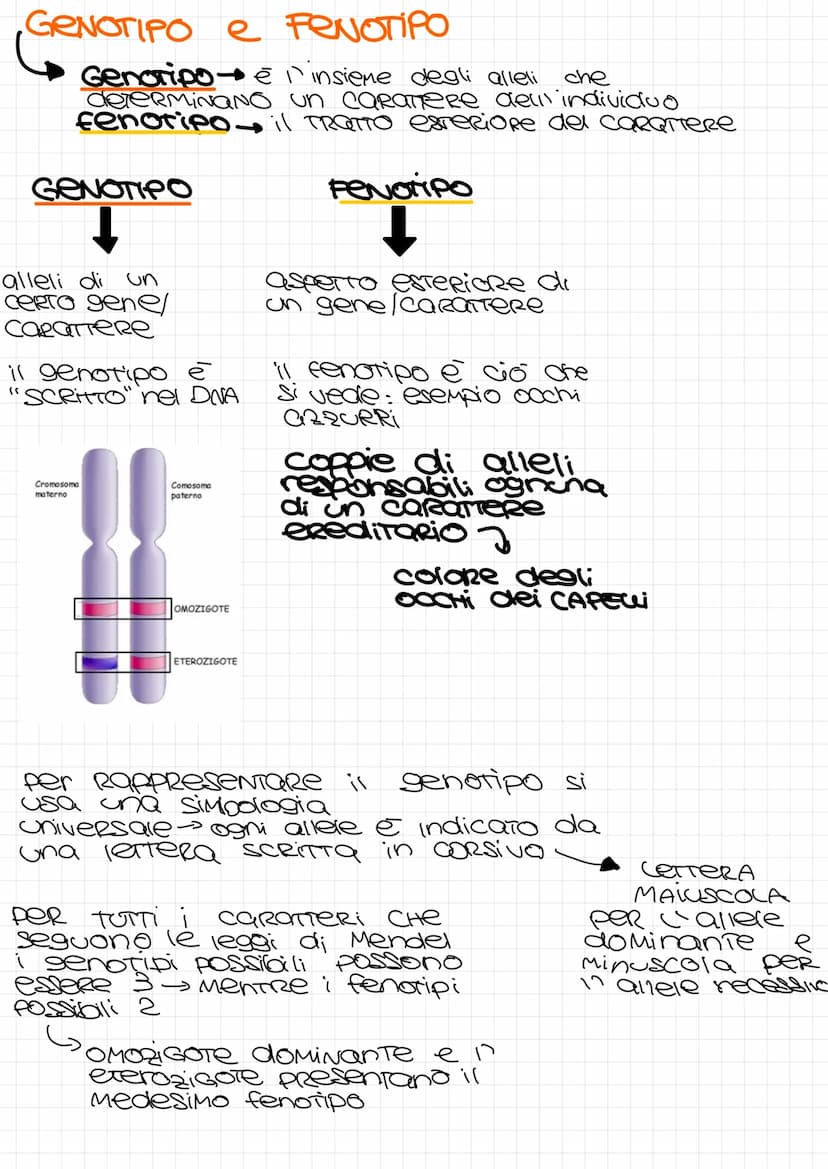LA
са семетса
Genetica Scienza che studia la trasmissione dei
caratteri da una generazione alla
sucessiva
CARATTERE
TRATTO e la forma partic