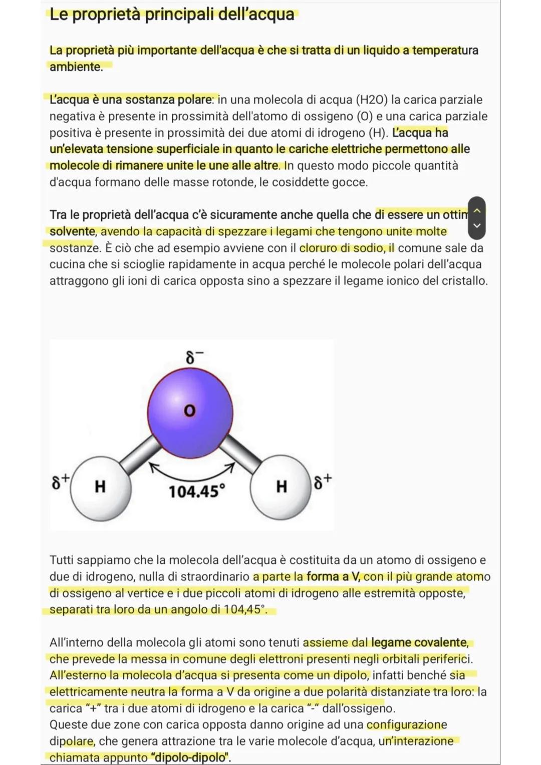 L'acqua e le sue proprietà
L'acqua è uno degli elementi più diffusi sul nostro pianeta. Eppure, non tutti ne
conoscono le diverse caratteris