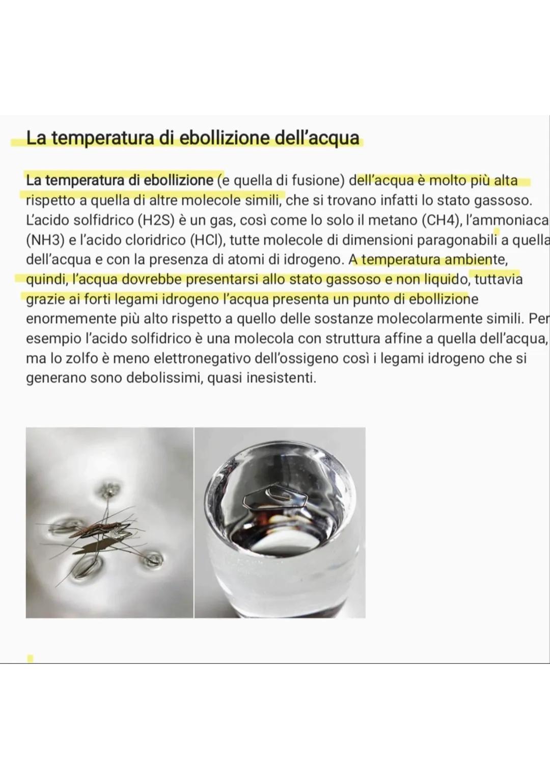 L'acqua e le sue proprietà
L'acqua è uno degli elementi più diffusi sul nostro pianeta. Eppure, non tutti ne
conoscono le diverse caratteris
