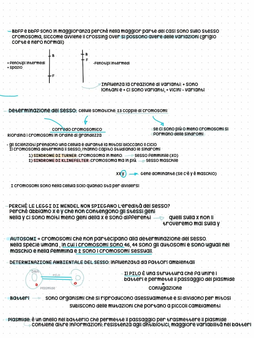 EREDITÀ NONMENDELIANE
Mendel non aveva preso in considerazione che dei caratteri per esprimersi avevano diverse modalità
ovvero
-dall'intera
