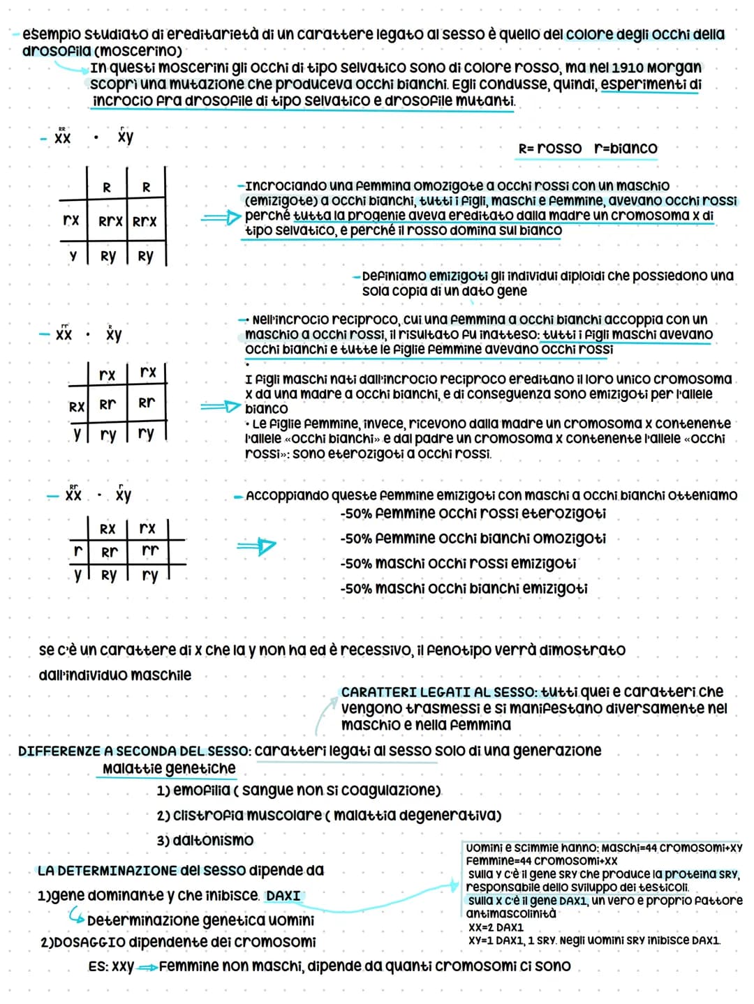 EREDITÀ NONMENDELIANE
Mendel non aveva preso in considerazione che dei caratteri per esprimersi avevano diverse modalità
ovvero
-dall'intera