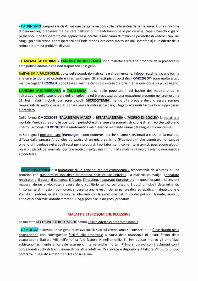 
<p>Le mutazioni genetiche sono variazioni dell'informazione genetica negli organismi pluricellulari, e possono essere di due tipi.</p>
<h2 