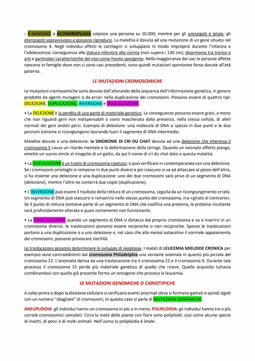 
<p>Le mutazioni genetiche sono variazioni dell'informazione genetica negli organismi pluricellulari, e possono essere di due tipi.</p>
<h2 