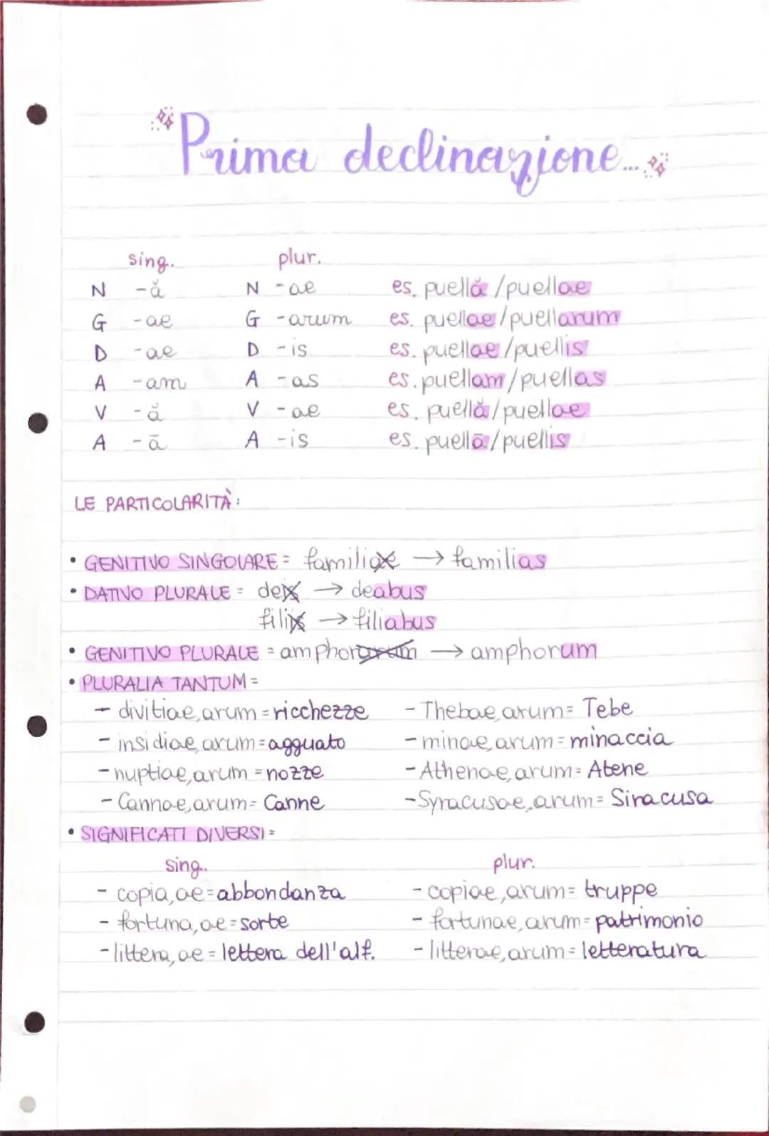 Studio delle declinazioni latine: guida completa