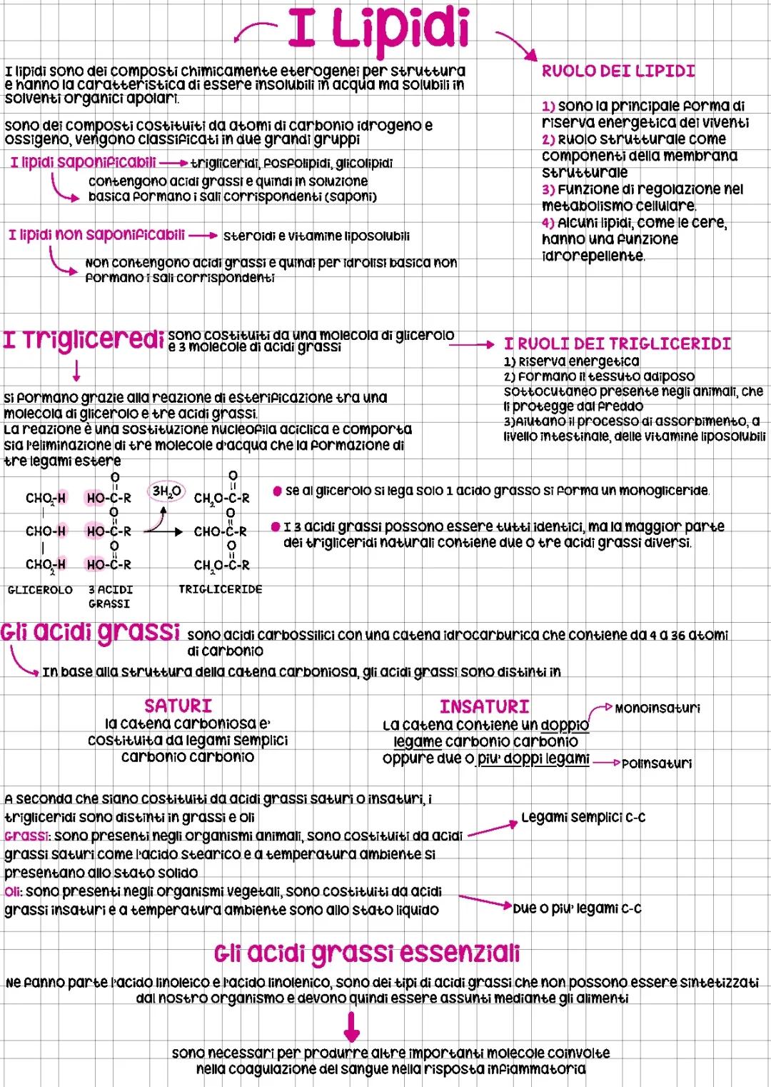 Come si formano i trigliceridi e le differenze tra lipidi saponificabili e non saponificabili