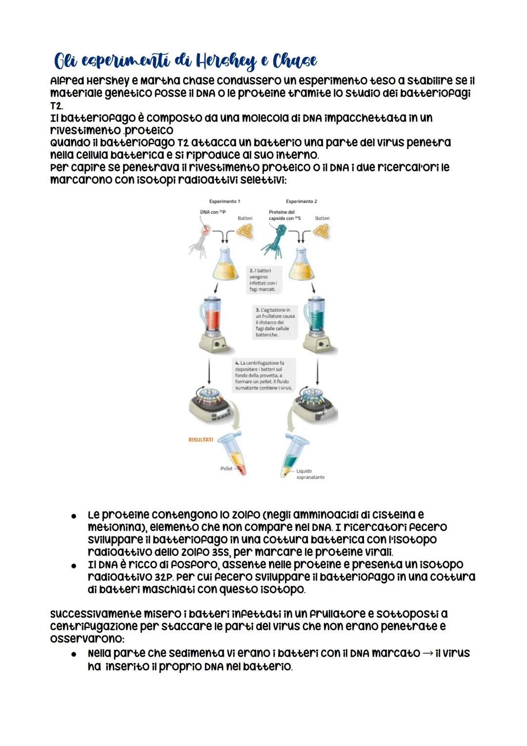 # I yeni sono fatti di ana

Le basi molecolari dell'eredita

La scoperta vera e propria del materiale ereditario risale al 1869, quando
Mies