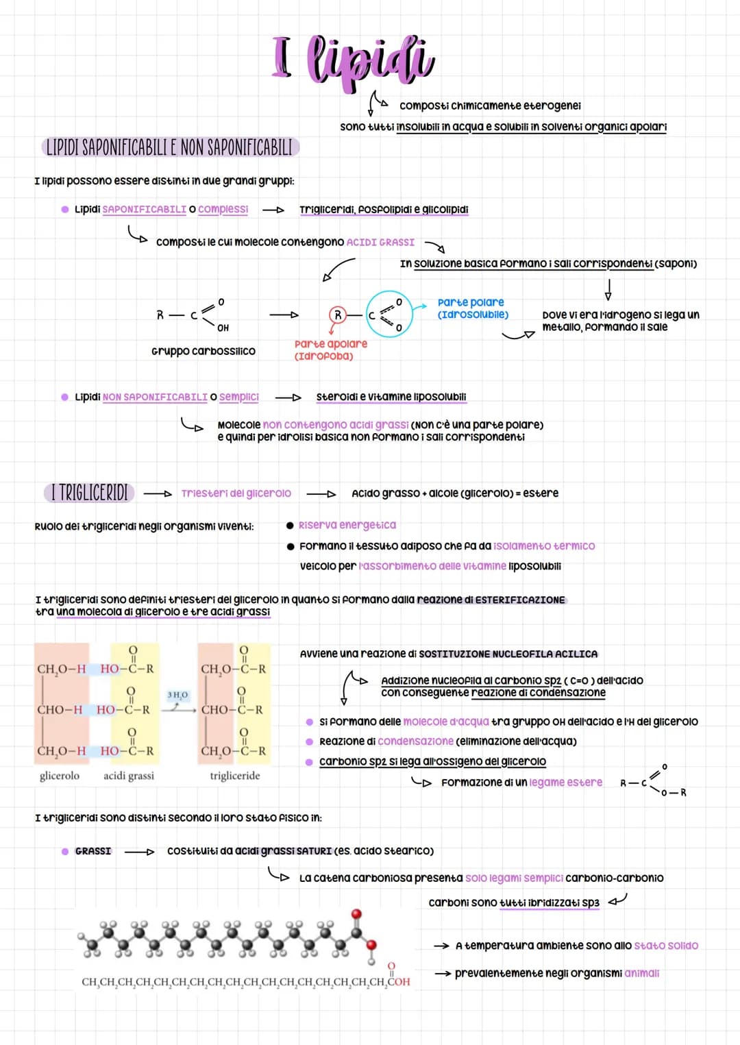 LIPIDI SAPONIFICABILI E NON SAPONIFICABILI
I lipidi possono essere distinti in due grandi gruppi:
● Lipidi SAPONIFICABILI O Complessi
I TRIG