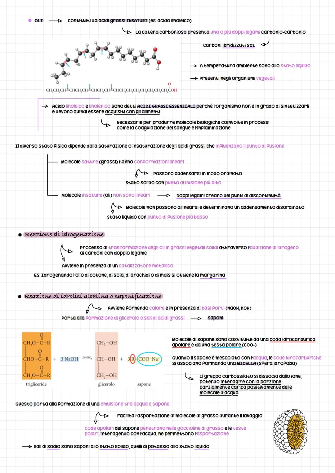 LIPIDI SAPONIFICABILI E NON SAPONIFICABILI
I lipidi possono essere distinti in due grandi gruppi:
● Lipidi SAPONIFICABILI O Complessi
I TRIG