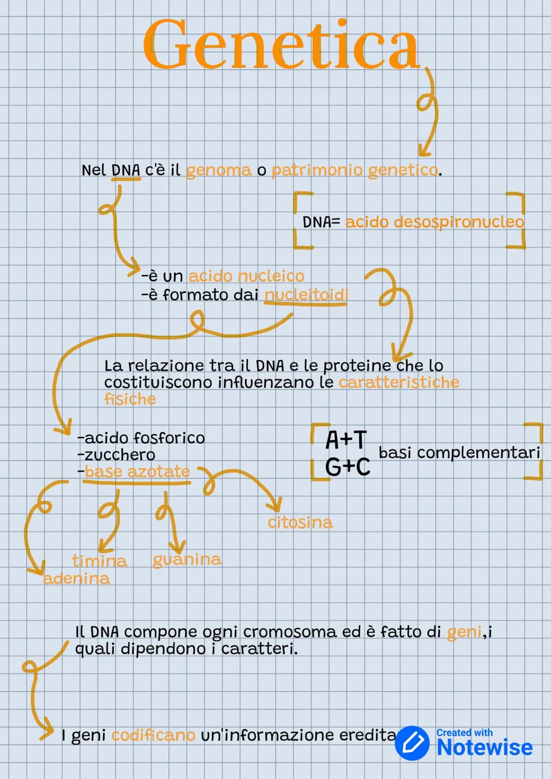 Genetica
etica
Nel DNA c'è il genoma o patrimonio genetico.
-è un acido nucleico
-è formato dai nucleitoidi
-acido fosforico
-zucchero
-base