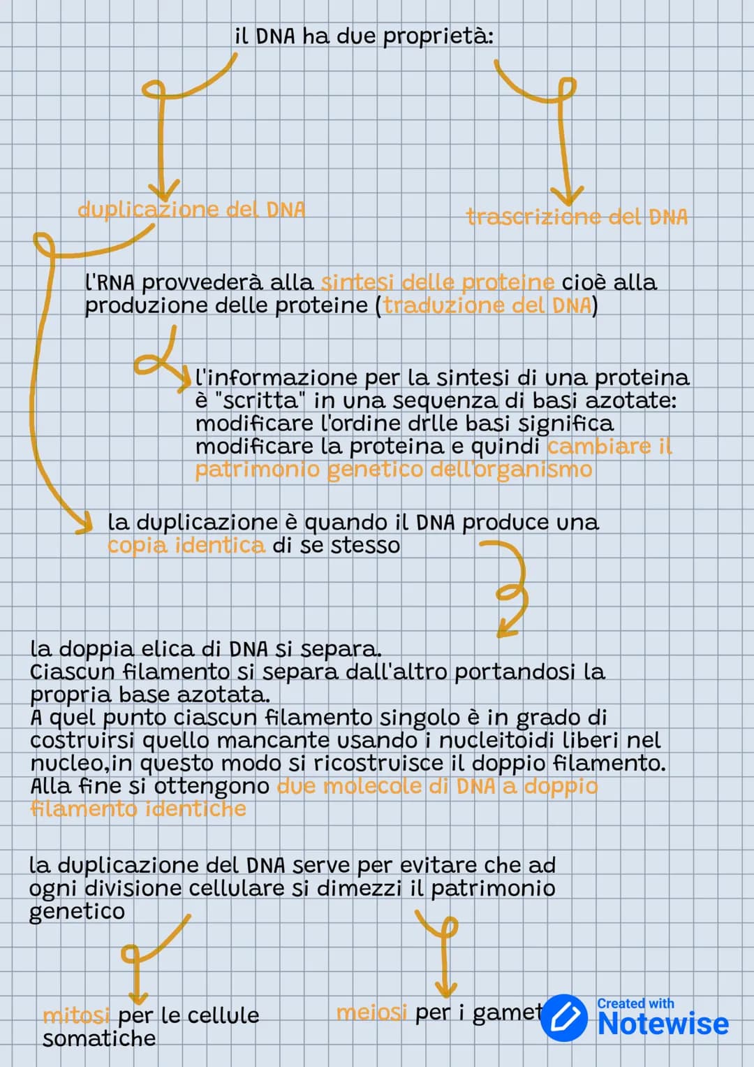 Genetica
etica
Nel DNA c'è il genoma o patrimonio genetico.
-è un acido nucleico
-è formato dai nucleitoidi
-acido fosforico
-zucchero
-base