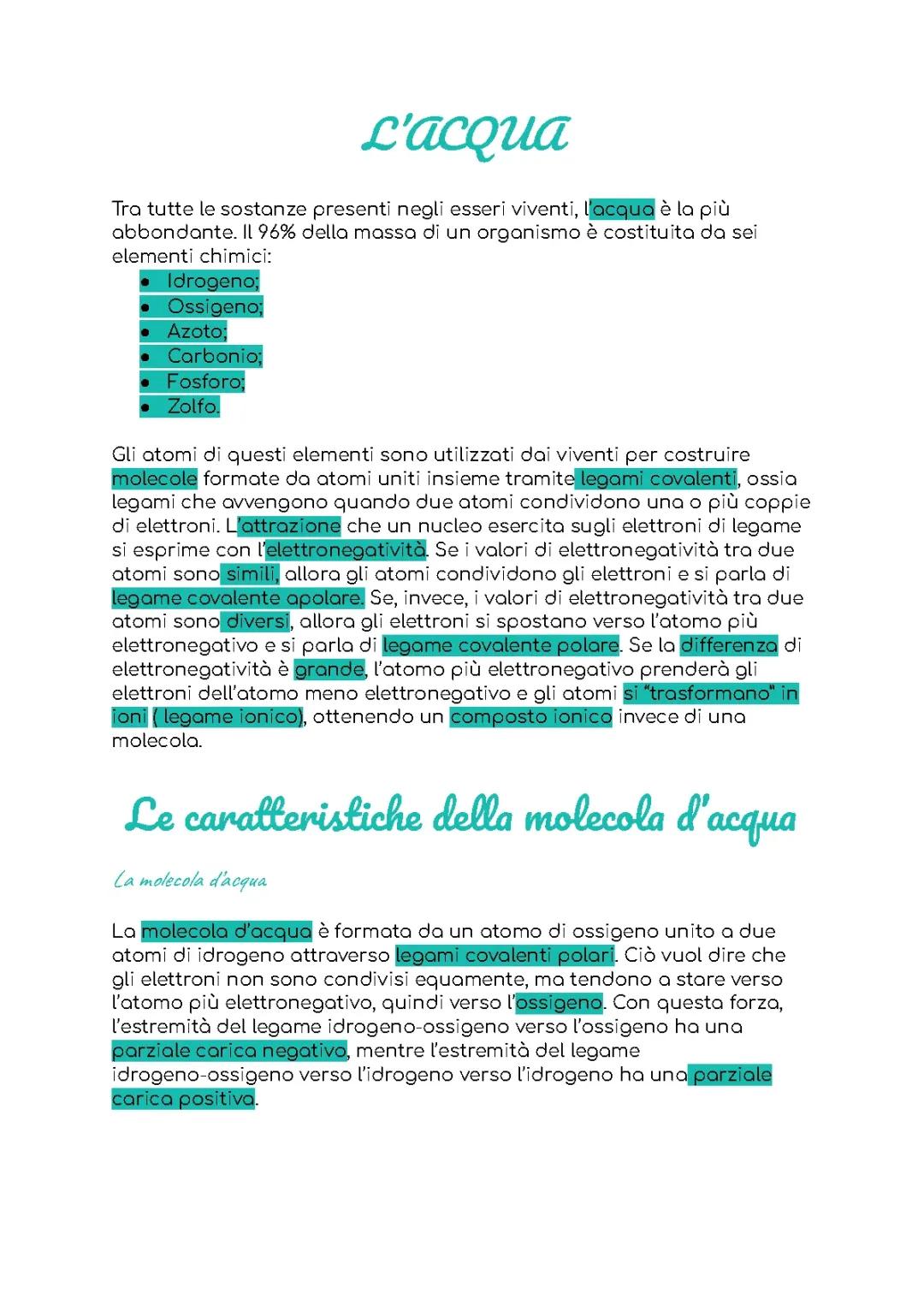 La molecola d'acqua e le sue caratteristiche