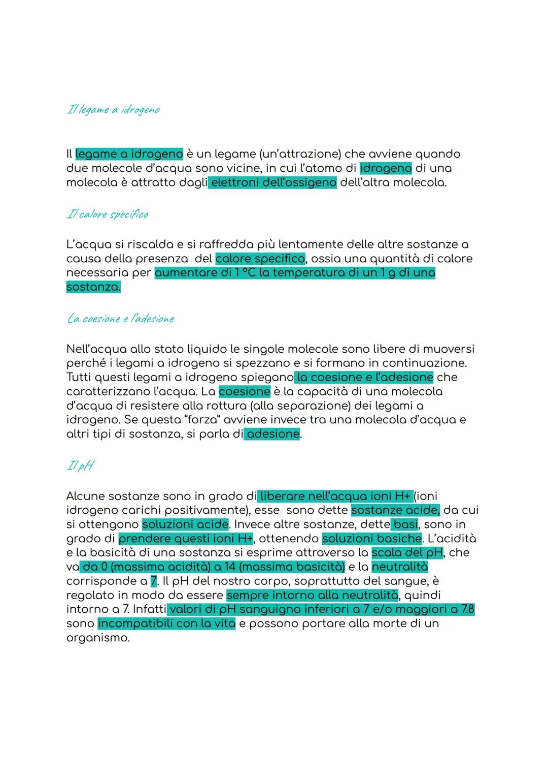 L'acqua
Tra tutte le sostanze presenti negli esseri viventi, l'acqua è la più
abbondante. Il 96% della massa di un organismo è costituita da