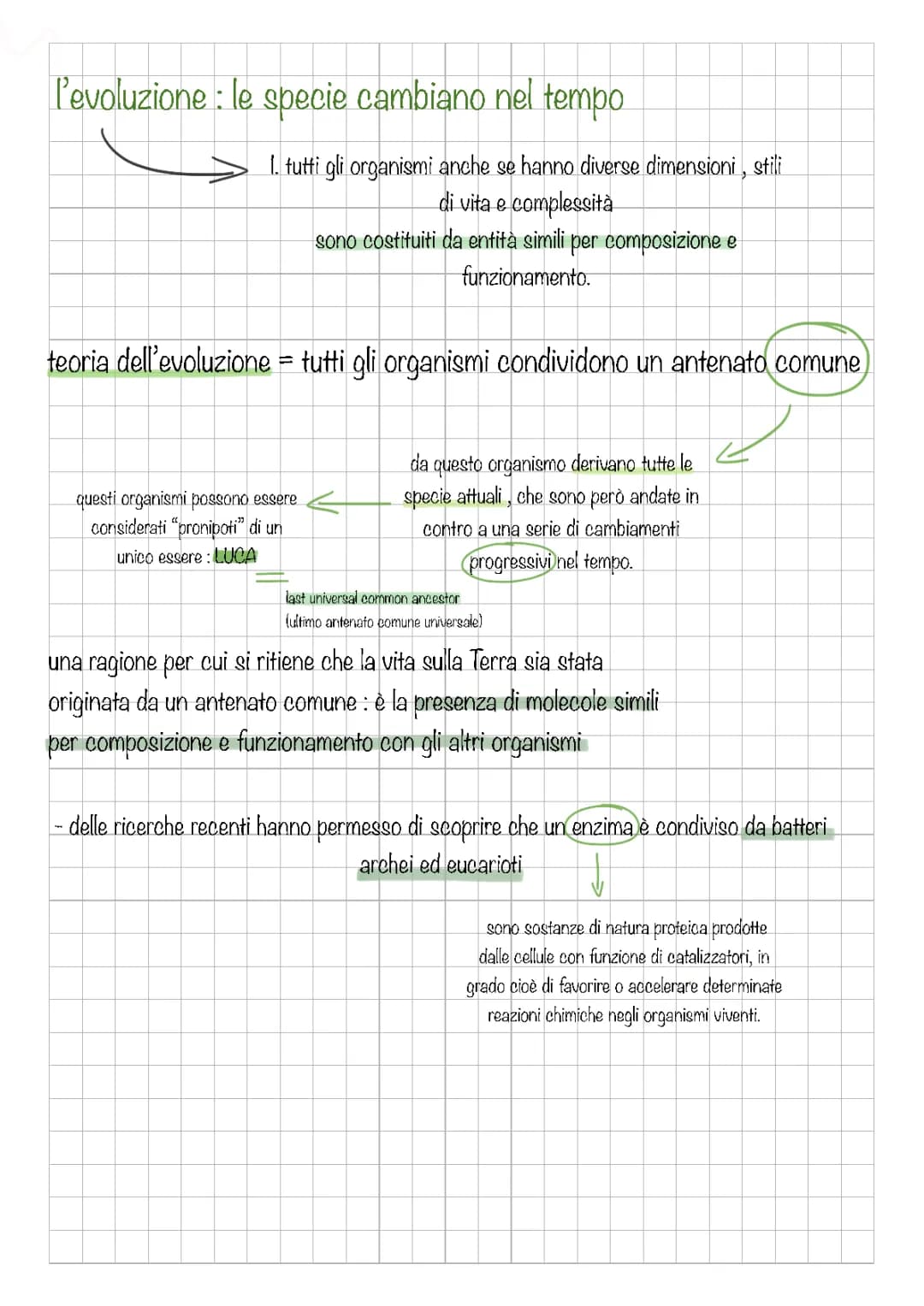 evoluzione, fossili ,selezione naturale, calssificazione , procarioti