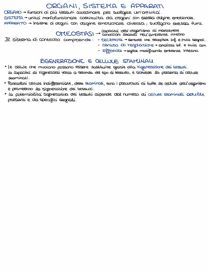 Lo sviluppo di un organismo parte da un'unica cellula, lo rigote,
e poi attraverso il DIFFERENZIAMENTO si arriva alla formazione della →
com