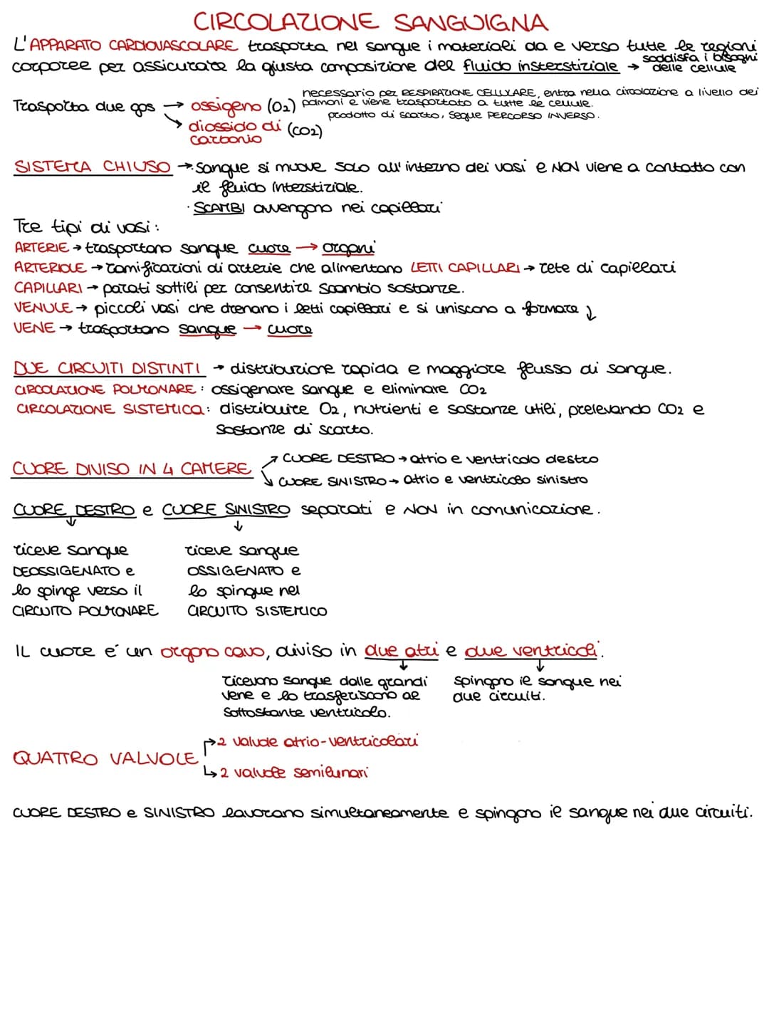 Lo sviluppo di un organismo parte da un'unica cellula, lo rigote,
e poi attraverso il DIFFERENZIAMENTO si arriva alla formazione della →
com